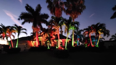 Color Changing Technology Photo