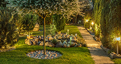 Landscape Lighting