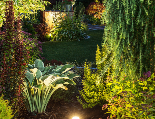 Outdoor Lighting Adds Some Zen to Your Garden in 2021